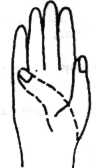 Hand and Wrist Exercise 8