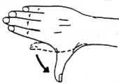 Hand and Wrist Exercise 9