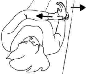 Stretches 5
